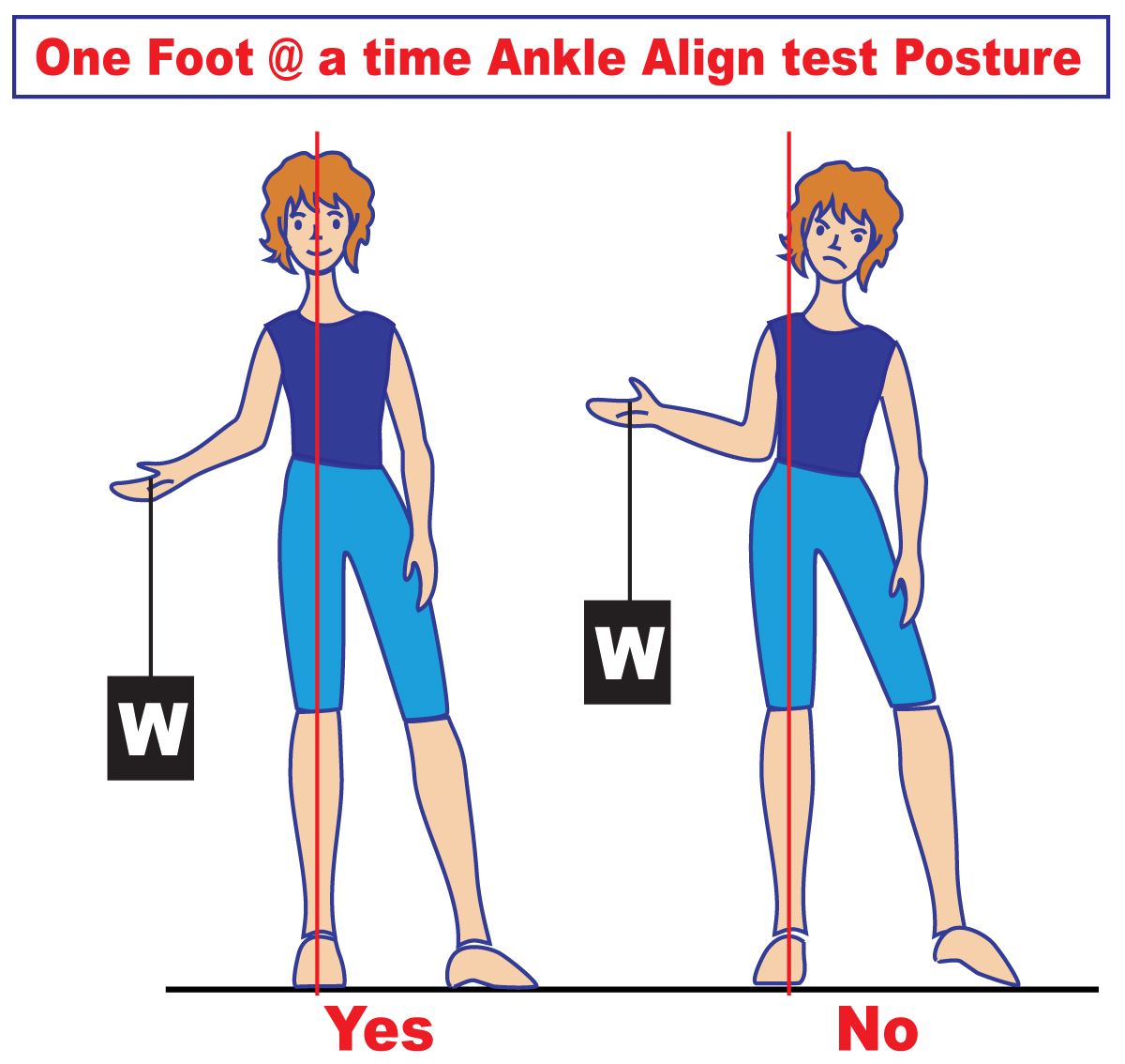 Ankle Alignment Test